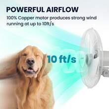 Pelonis 16 Inch Wall Mount Fan, 3-Speed Adjustable, Heavy Duty Metal Construction, Energy Efficient, Quiet Cooling Fan For Kitchen, Garage, Workshop, Home Office, White Air Circulator Fan