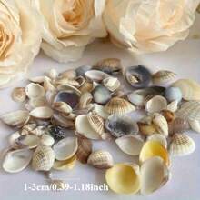 1box Unique Ocean Style Mix Mini Conch Shells - Ocean Style Scented Candle Drop Glue Art DIY Materials, Handmade Gifts For Wedding Parties - Multicolor - View 3