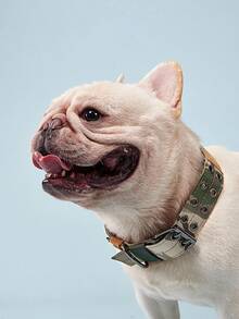 PETSIN 1pc Adjustable Nylon Dog Collar, Military Tactical Training Dog Collar With  Patch Panel, Suitable For Medium & Large Dogs