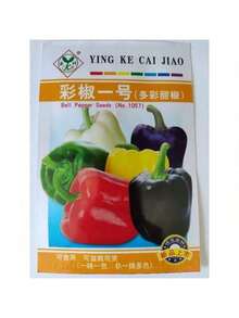 Growing Rapidly Premium Gift Seeds 5 Colors Rainbow Bell Pepper Vegetable Seeds ( 50 Seeds ) - Basic Farm House - 1 - Xem 4
