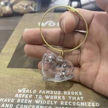 Transparent Cat Hair Collection Capsule, Cat Hair Storage Pendant Blind Box, Pet Hair Collection Creative Keychain Bag Charm - Multicolor - View 17