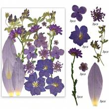 21pcs Purple Tone Natural Dried Flowers, Ideal For Nail Art, Candle Making, Resin Crafts, Diy Projects, Etc. - Purple - View 10