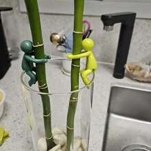 6pcs Plant Racks - Sturdy Stem Racks That Promote Healthy Plant Growth, Are Easy To Propagate And Thrive In An Indoor Garden - The Perfect Gift For Plant Lovers And Enthusiasts - 軍綠色 - 查看 4