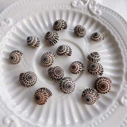 20pcs/Bag Handmade Jewelry Black And White Striped Conch Beads - Elegant For DIY Crafts, Mini Hermit Crab Replacement Shell Fish Tank Decoration, Ocean Theme Decoration, Party Gifts