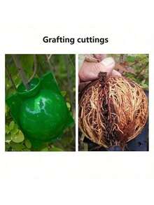 1 قطعة/10 قطع علبة زراعة جذور الأشجار، أداة زراعة الكرات الجذرية، علبة زراعة تحت ضغط عال لأقلمة العقل والتطعيم وترقيق الأوراق، ملحقات زراعة الشتلات والعقل النباتية - أخضر - مشاهدة 7