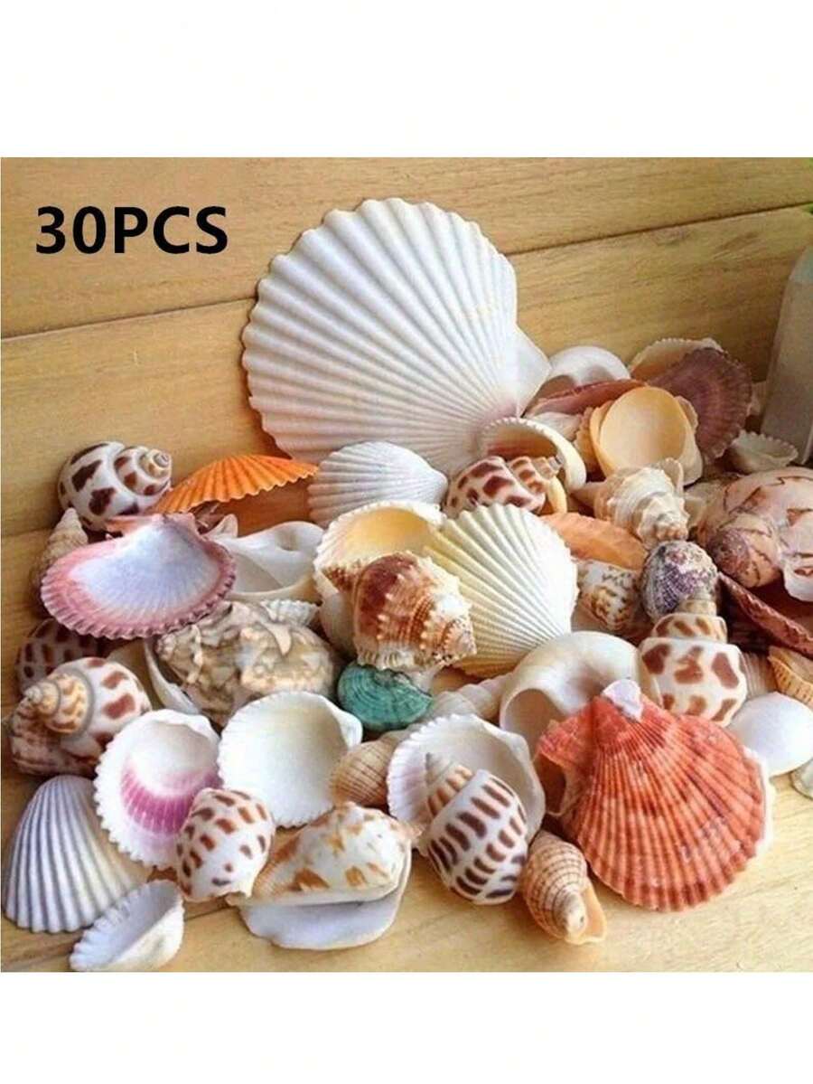 30pcs/Set Natural Seashell Decor Kit - Aquarium Decoration, DIY Crafts, Nautical Theme, Fish Tank Accessories - Multicolor - View 1