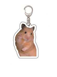 1 buah Gantungan Kunci Akrilik Kreatif Lucu Bertema Hamster, Bentuk Hamster, Hewan Peliharaan yang Menggemaskan, Dapat Digunakan Sebagai Gantungan Tas, Gantungan Ransel, Gantungan Dompet, dll. Aksesori Tas Sehari-hari, Dapat Digunakan Sebagai Dekorasi Tas, Tali Gantungan, Gantungan Kunci, dll. Cocok Sebagai Hadiah Untuk Pacar, Keluarga, Dokter, Perawat, Juga Dapat Digunakan Sebagai Suvenir Pesta, Dekorasi Ponsel, dll. - MultiWarna - View 6