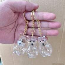 1/3/6pcs Cat Hair Storage Transparent Capsule, Cat Hair Collection Box, Charm Gashapon, Keychain Pendant, Pet Hair Storage Capsule