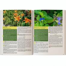 The Healing Power Of Plant Medicine  Paperback Colored Inner Pages For Friends Family - Red - View 6