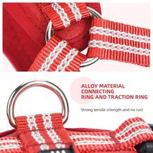 Adjustable No Pull Dog Vest For Training, Hiking, Easy Walk Harness For Small, Medium, Large Dogs - Multicolor - View 4