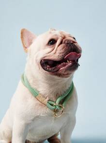 PETSIN 1 件手工编织宠物项圈，带金属扣，可调节颈部尺寸，适合小型/中型/大型犬，户外跑步训练牵引绳