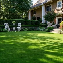 1 Roll High-Density Luxury Artificial Turf, Soft Realistic High-Quality Green Grass, Suitable For Patio, Roof, Indoor And Outdoor Use, Perfect For Garden Landscaping, Pet Area, Party, Camping, Backyard - High-quality Spring Grass (green) - View 10