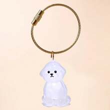 1/3/6pcs Cat Hair Storage Transparent Capsule, Cat Hair Collection Box, Charm Gashapon, Keychain Pendant, Pet Hair Storage Capsule