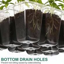 10 套透明育苗盆，带湿度罩，育苗盆，育苗起始盆，带排水孔的花盆，用于花卉植物，园艺用品，园艺，花园，植物花盆，房间装饰，家居装饰，DIY 园艺标志，透明塑料园艺花盆种植容器杯种植器小型启动种子起始托盘，适用于温室和花园 - 彩色 - 查看 5