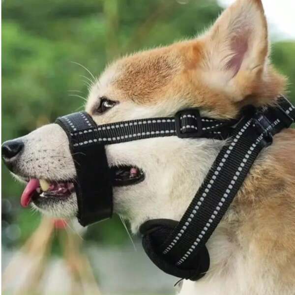 Nuovo museruola, guinzaglio e collare per cani, regolabile, anti-fuga, riflettente per cani di taglia media e grande