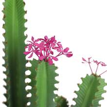 Artificial Cactus, 92 Cm Large Artificial Flowering Cacti, Artificial Cactus Plant With Planter, Artificial Large Cactus Plants For Indoor And Outdoor, Home, Office, Shop, Garden