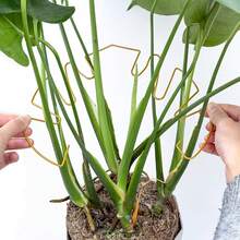 1 Stück Metallschildkrötenschalen-förmiges Pflanzenhalterung, Größe 13*14cm/16*18cm, verschiedene Formen erhältlich, geeignet für Kletterpflanzen wie Schildkrötenbambus, einzigartiges, robustes Design, ideale Stütze für Innen-/Außengartenpflanzen, auch für Topfpflanzen geeignet - Grün - Übersicht 7