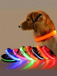 1pc LED Glowing Pet Collar, Golden Plush Teddy Bear Pattern, Suitable For Medium & Small Dogs, Night Walking Light