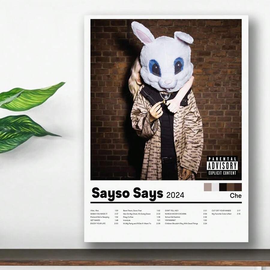 Framed 1pc Canvas Album Poster, Che Sayso Says, Underground Rap Poster ...