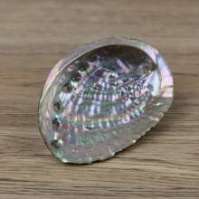 Premium Large Abalone Shell - Perfect For Jewelry Crafting, Meditation & Home Decor | Unique Gift Idea