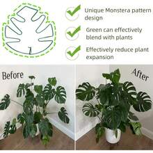 1 Stück Metallschildkrötenschalen-förmiges Pflanzenhalterung, Größe 13*14cm/16*18cm, verschiedene Formen erhältlich, geeignet für Kletterpflanzen wie Schildkrötenbambus, einzigartiges, robustes Design, ideale Stütze für Innen-/Außengartenpflanzen, auch für Topfpflanzen geeignet - Grün - Übersicht 3