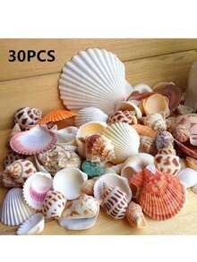30pcs/Set Natural Seashell Decor Kit - Aquarium Decoration, DIY Crafts, Nautical Theme, Fish Tank Accessories - Multicolor - View 3
