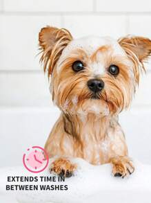 GJYC PET Salon Scents 古龙水 - 持久天然玫瑰香味狗猫除臭剂（1 包，3.38 液量盎司） - 专业级香水 - 粉色 - 查看 4