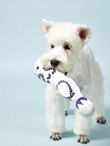 PETSIN Funny Cute Durable Unique Dog Plush Toy With Squeaker For Small Medium Dogs - Cute Dog Gifts For Dog Birthday - Cute Dog Toy With Squeaky - White - View 3