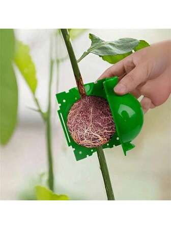 5pcs Tree Root Planting Box, Rooting Ball Transplant Tool, PlantRoot High Pressure Box Grafting Cuttings Root Device,Air Layer Pod,For Plant Cutting Seedlings For Plant