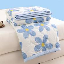 Bed Blankets & Towel Blankets