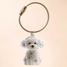 1/3/6pcs Cat Hair Storage Transparent Capsule, Cat Hair Collection Box, Charm Gashapon, Keychain Pendant, Pet Hair Storage Capsule