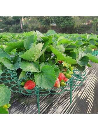 Strawberry Plant Support Strawberry Growing Racks With 4 Sturdy Legs Strawberry Growing Frame Keep Berries Clean For Indoor Outdoor Garden Plants