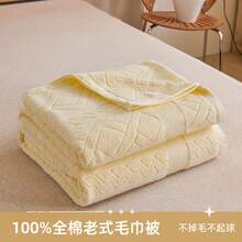 Bed Blankets & Towel Blankets