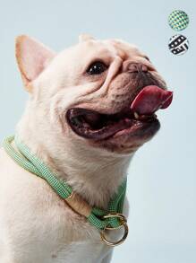 PETSIN 1 件手工编织宠物项圈，带金属扣，可调节颈部尺寸，适合小型/中型/大型犬，户外跑步训练牵引绳