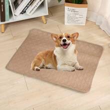 وسادة كلب قابلة للغسيل، وسادة جرو قابلة لإعادة الاستخدام، سجادة مانعة للانزلاق، حصيرة كبيرة للكلاب، وسادة تدريب ماصة ومانعة للتسرب، مناسبة للحيوانات الأليفة والأقفاص والمتاريس والأسرة والأرائك