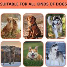 1pc Pet Wavy Dual-Ended Leash, Detachable And -Free, Suitable For Walking Two Dogs Simultaneously