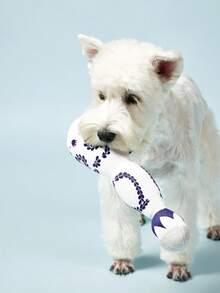 PETSIN Funny Cute Durable Unique Dog Plush Toy With Squeaker For Small Medium Dogs - Cute Dog Gifts For Dog Birthday - Cute Dog Toy With Squeaky - White - View 6