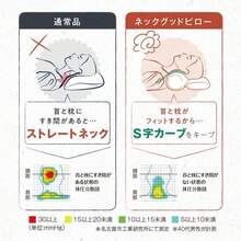 Other Function Pillows & Positioners