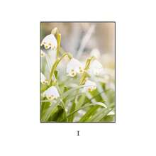 1PC Oil Painting Autumn Sunflowers, Cherry Blossoms, Plants And Flowers, Green Landscape Aesthetics Poster Prints Home Decoration Frameless Fall Murals