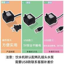 Pet Waterers & Fountains