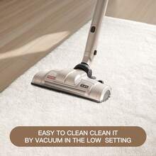 Sour Lemon Rugs Living Room 200x300cm, Grey Area Rugs For Bedroom, Washable Anti Slip Extra Large Shaggy Soft Rug Fluffy Modern Floor Carpets Mat Beside Carpet, Long Runner Rug For Hallway - Ngà voi - Xem 6