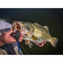 Cebos Blandos Power Worms de Pesca, Gusanos Artificiales para Pesca de Lubina Trucha y Peces de Agua Dulce/Marina - Sandía Púrpura Rojo Moteado - Ver 7