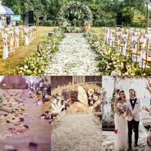 1000 片人造假玫瑰花瓣，适用于婚礼、花瓣、浪漫之夜套装、订婚、花卉装饰、活动、生日派对，散装