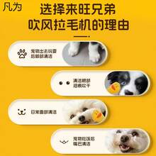 Pet Grooming Appliances