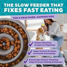 Outward Hound Fun Feeder Slo Bowl, Medium Slow Feeder Dog Bowl, 2 Cups, Turquoise - Gray - View 3