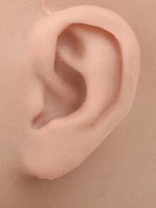 Makeup Upgrade - Silicone Head Model For Wig Display, Wig Salon Display Head Model Simulating Facial Features, And COS Head Model With Base And Needle Insertion Device Used In Makeup Model Factory, For Daily Wig Styling And Trimming