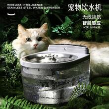 Pet Waterers & Fountains