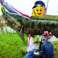 CISEA F35 鱼饵 青蛙饵 适用于钓鱼软饵 5克 4厘米 浮水