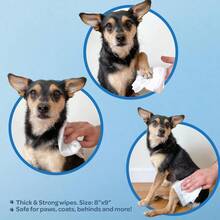 Best Pet Supplies Pet Wipes For Dogs - Dog Wipes Cleaning Deodorizing, For Coats, Ears, Paws - Hydrating, Aloe Vera - 保濕椰子 - 查看 3