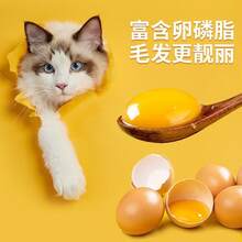 Small Pet Feeders - New Three-in-one Cat Food [10 Catties] - View 3